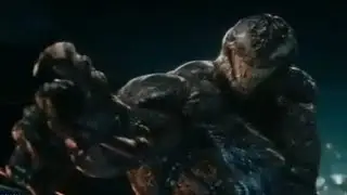 não isso não é gato não