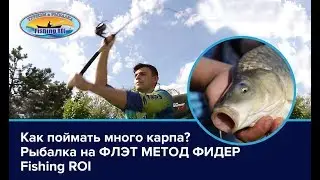 Как поймать много карпа? Рыбалка на ФЛЭТ МЕТОД ФИДЕР [Fishing ROI]