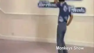 Arabijos pažiba