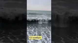Адлер 13 ноября 2023 г