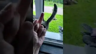 Токсины отношения