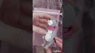 Все котята отправились по домам