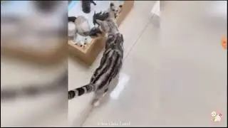 :,3