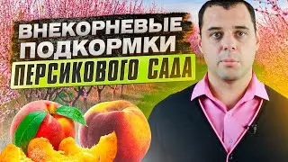 Как повысить урожайность персикового сада? Внекорневые подкормки Персикового сада.
