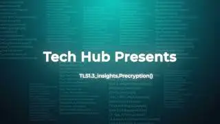 Gain Meaningful Insights into TLS 1.3 Data Using Precryption
