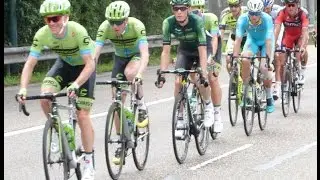 Peloton leaving Utrecht Stage 2, Tour de France 2015