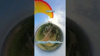 Sterile Cockpit 🚫🗣️  