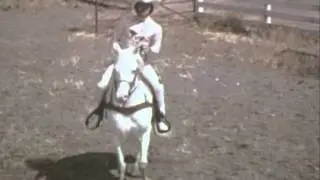 Glen Campbell - Rhinestone Cowboy