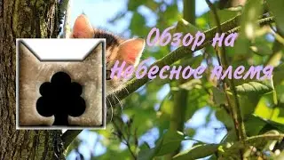 Обзор на Небесное племя // Коты Воители //Белолапая WC ч.о