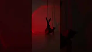 Exotic pole dance 🖤