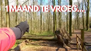 BOSFOTOGRAFIE: POINT-OF-VIEW (POV) FOTOWANDELING in het Brakelbos: we zijn een maand te vroeg!
