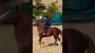 маёдони Бузкаши