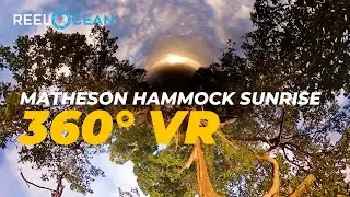 Relaxing Miami Sunrise 360 VR Matheson Hammock 🌴🌊