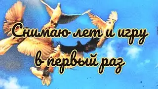 Первый гон на камеру