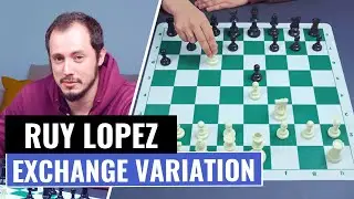 The Ruy Lopez | Exchange Variation | Chess Openings | IM Andrey Ostrovskiy