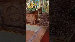С Праздником Пресвятой Троицы