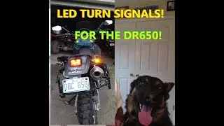 DR650 Beautification (LED Turn Signals)