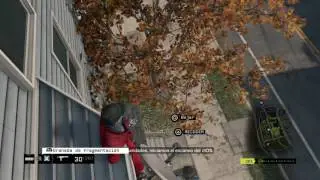 There is no roof here