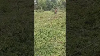 child love video , ❤️❤️❤️