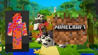 how to make mcpe skins on a phone