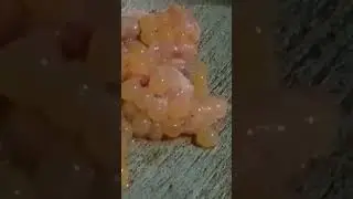 Fish eggs 2k24 #Shorts #videos