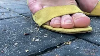 Bare feet in sandals