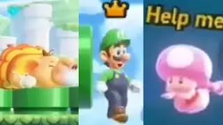 All HD Footage We Have Of Super Mario Bros Wonder Gameplay  (Nintendo Treehouse: LIVE + MORE)