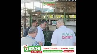 Qurbani 2023 Preparations in Gaza - Palestine | Gaza's Preparation For Qurbani | Muslim Charity