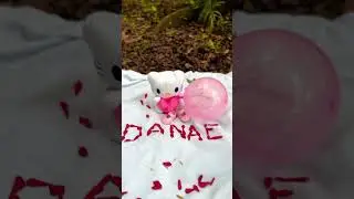 Video Clip Embarazo 🤰 | filmaker | #iphone