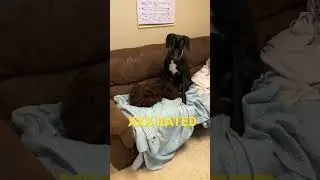XXX RATED -— Doggy Porn - Willow & Puddin Playing Around..  jk 