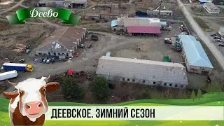 ДЕЕВСКОЕ. ЗИМНИЙ СЕЗОН