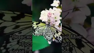 Евангелие в цитатах🕊Отдыхайте с пользой для души🤍 