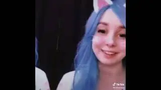 Топ 20 видео из TT про кошку лану и её друзей