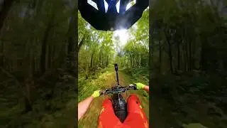 Жесткое падение на питбайке! Лучший из бюджетных шлем SHOCK