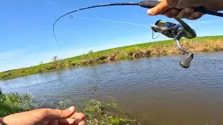 ВОТ ЭТО РЫБАЛКА ВЫШЛА. ЗЛЫЕ ПОКЛЁВКИ РАЗНОРЫБИЦЫ на реке. Рыбалка на спиннинг в 2024