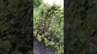 Утром не айс😂😄💃👍🤫