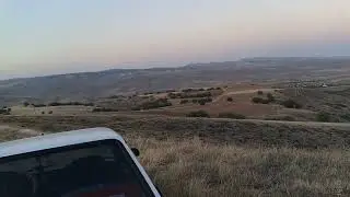 #TalikKuşu