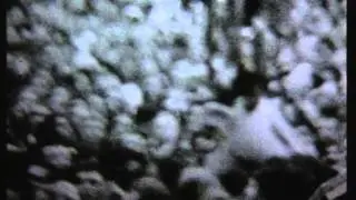 Shihad - Bitter (Remastered)