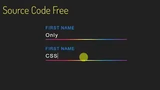 CSS Input Field Text and Gradient Border Animation Effects | Using HTML CSS