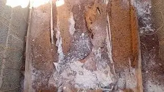 como fica o caixão