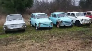 коллекция запорожцев