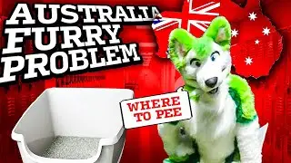 Do Australian FURRIES use LITTERBOXES? FURRY DRAMA