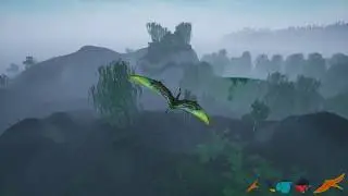 Beast of Bermuda: Sight Seeing (Fog can be beautiful)