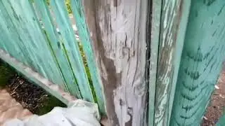 ДАЧНЫЕ СПЛЕТНИЦЫ. ВСЕ ПРОТИВ ОДНОЙ. В ОЧКО, В ОЧКАХ... И БЕЗ ОЧКОВ