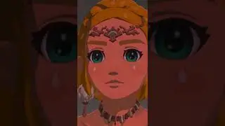 Zelda – The Legend of Zelda: Tears of the Kingdom (Nintendo Switch)