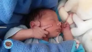 EL PRIMER MES DE MI BEBE