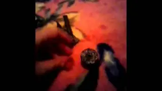 Пестоны и пестолет