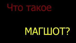 Что такое Магшот [mug shot]