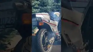 MODIFIED SUZUKI RG GAMMA! Walter Wolf