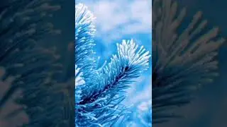 Morgenstern, Lil pump watafuk и Джарахов дегенерат но треки постояно меняются